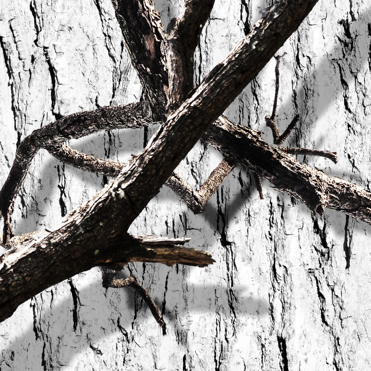DEADWOOD WINTER SNOW CAMO