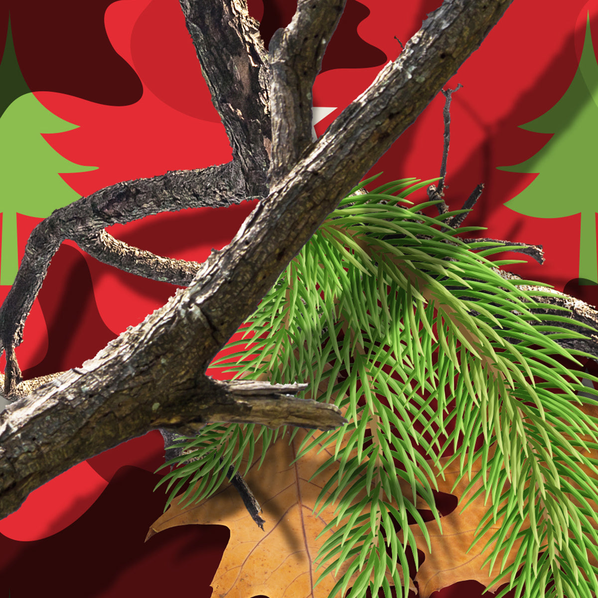 HOLIDAY CAMOUFLAGE