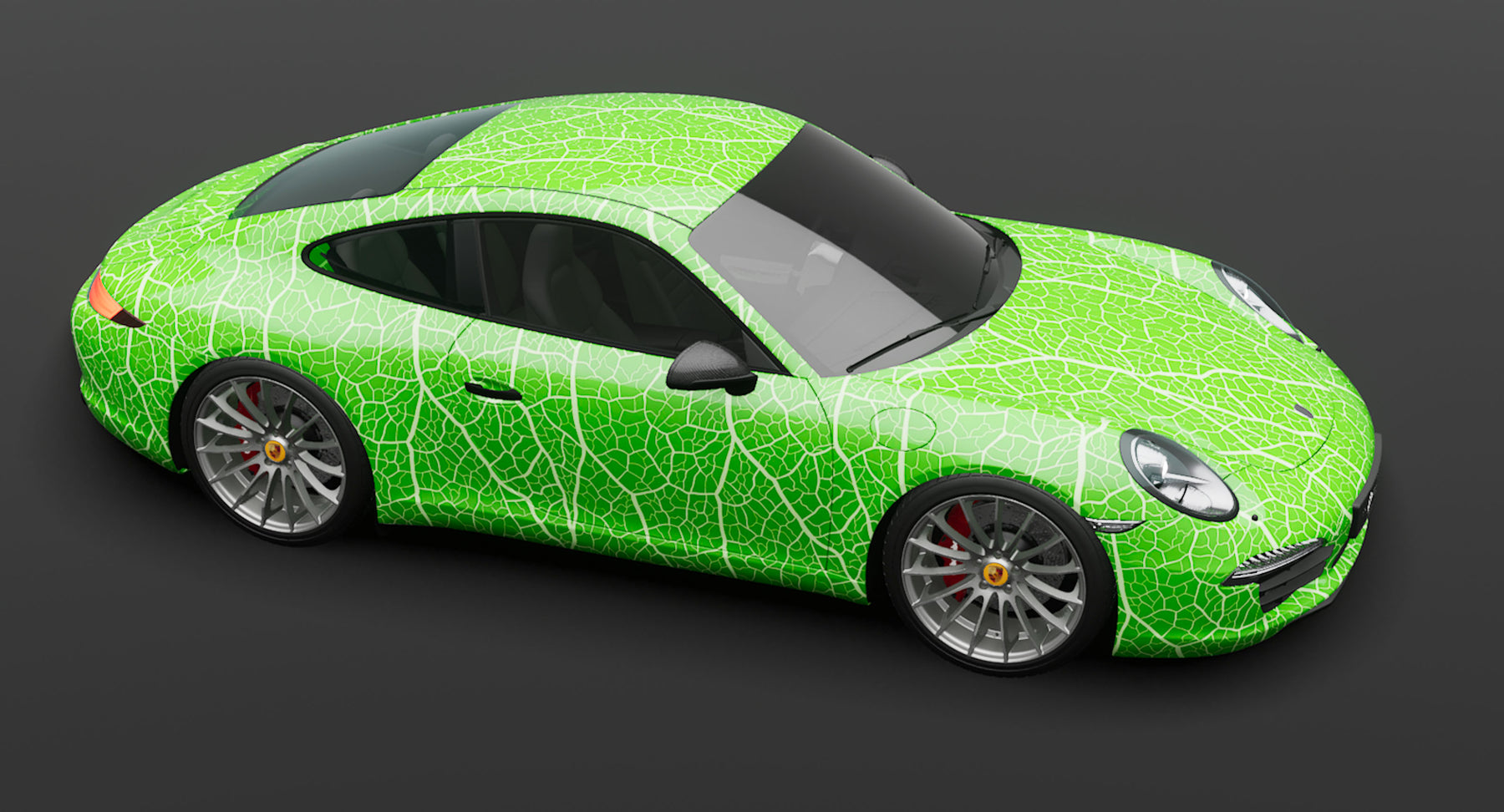 MAGINFIED LEAF COLOR
