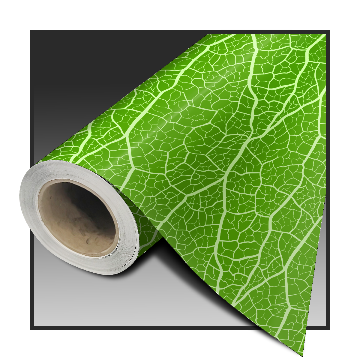 MAGINFIED LEAF COLOR