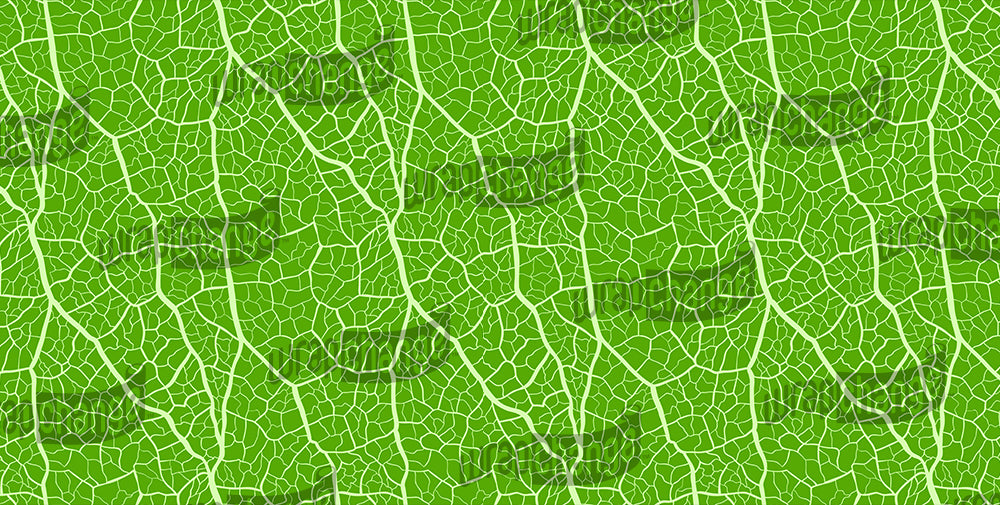 MAGINFIED LEAF COLOR