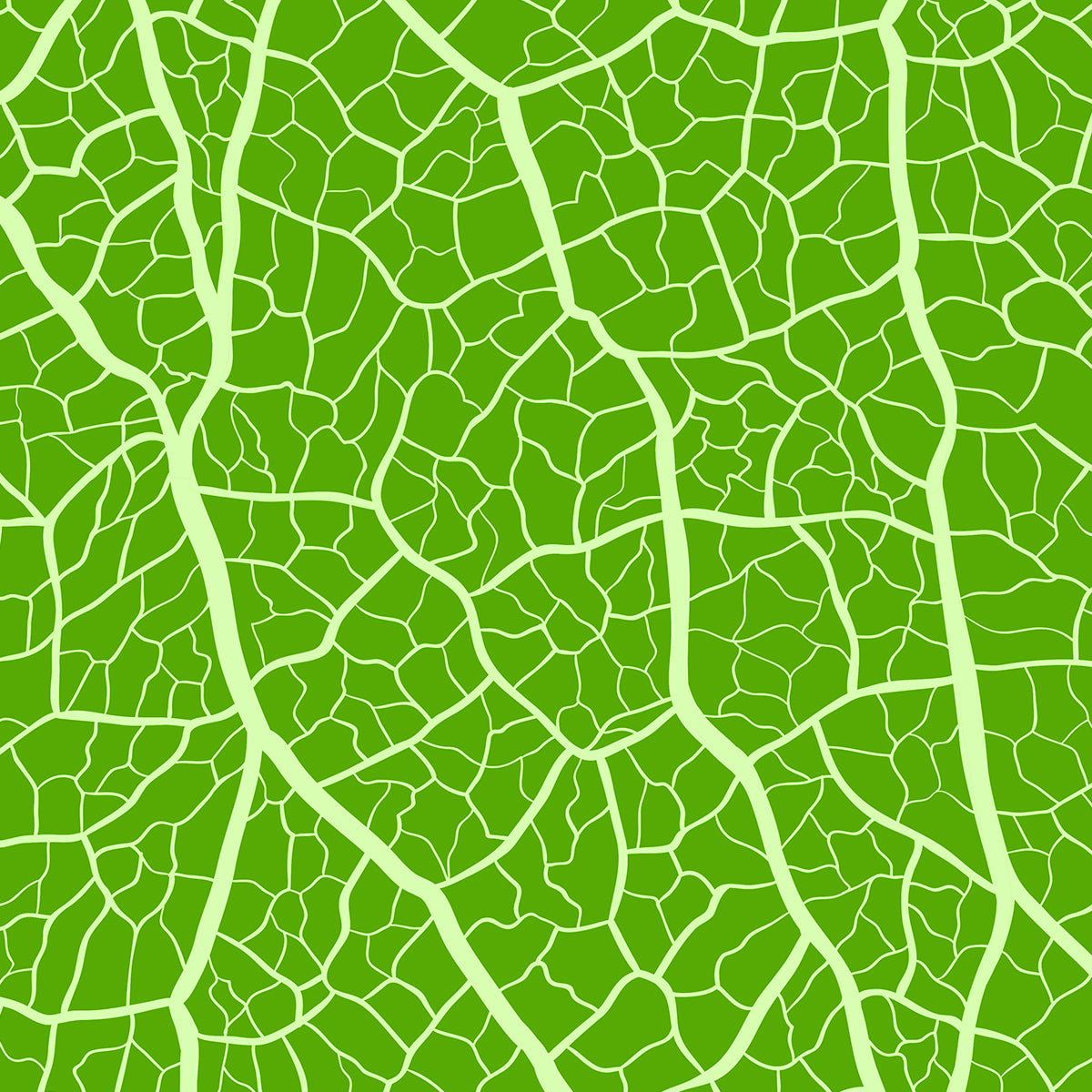 MAGINFIED LEAF COLOR