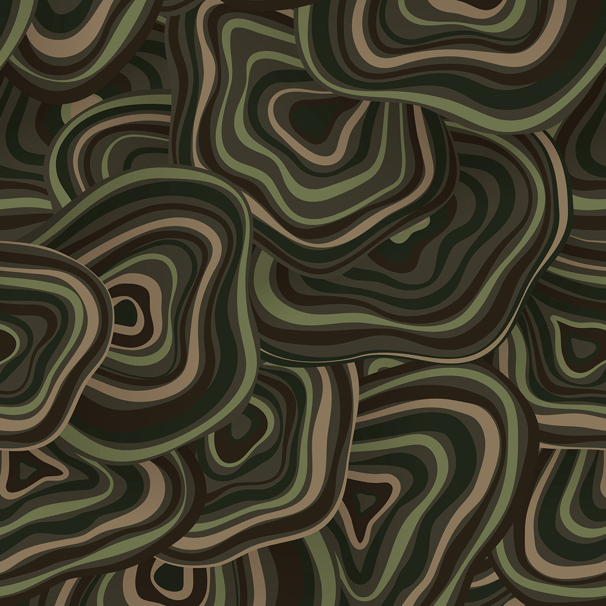 POPULAR POLYPORE MILITARY