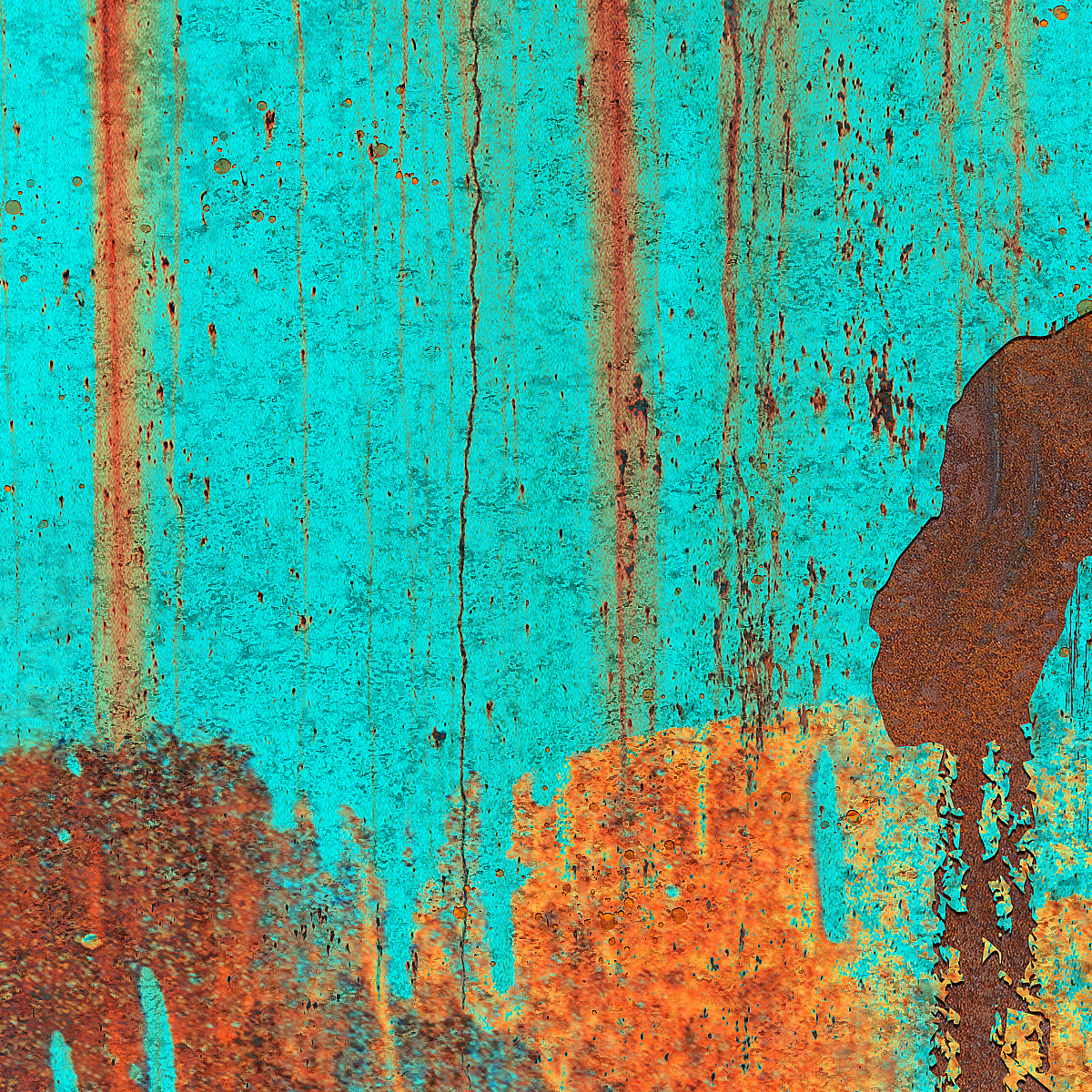 RUST BUCKET MIAMI