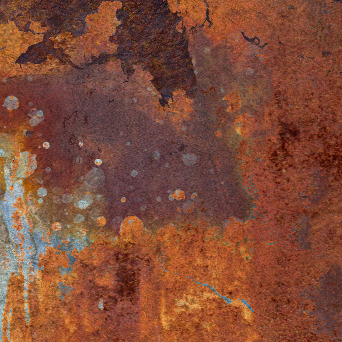 RUST BUCKET