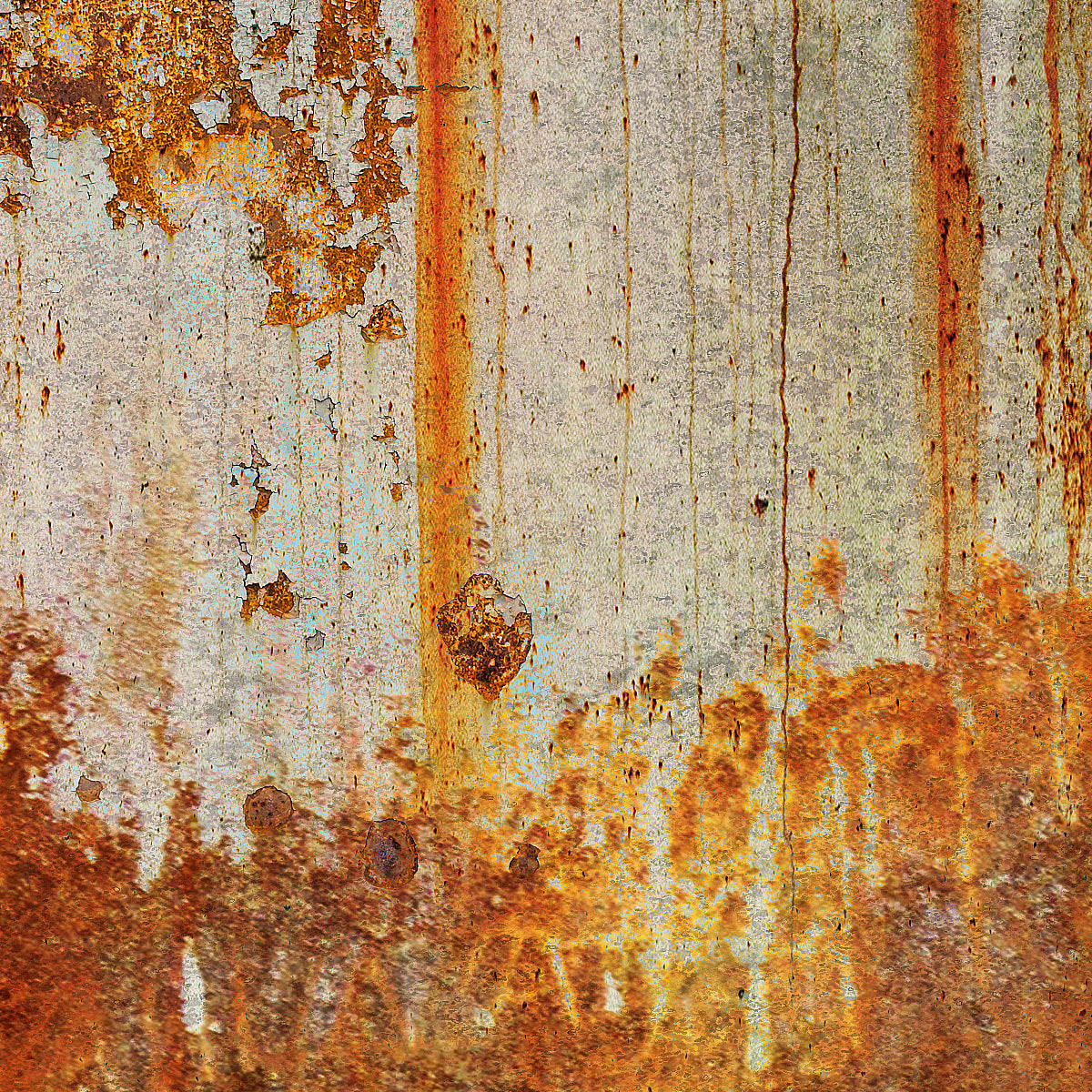 RUST BUCKET WHITE