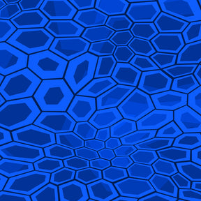 BLUE KRYPTOGRAPHY