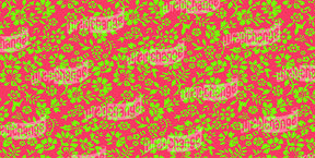 CHERRY LIME FLORAL