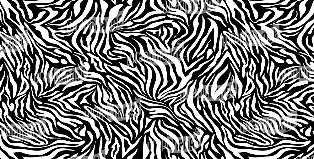 LITTLE ZEBRA