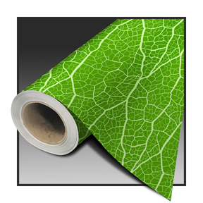 MAGINFIED LEAF COLOR